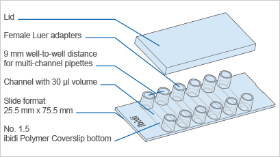 S_8060X_Slide_VI04_KF.jpg